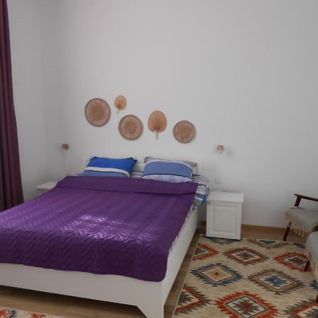 Villa Stoia Ocna Sibiului Zewnętrze zdjęcie